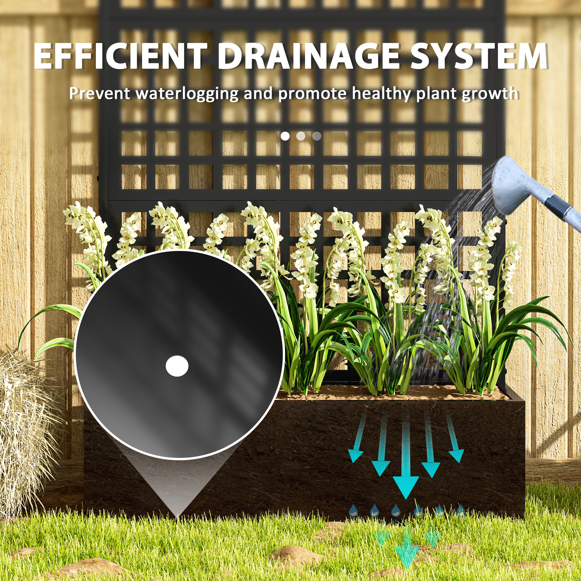 galleryImage